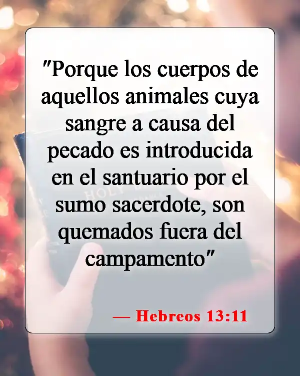 Versículos de la Biblia sobre sacrificios de animales (Hebreos 13:11)