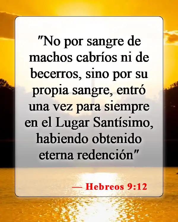 Versículos de la Biblia sobre matar animales (Hebreos 9:12)
