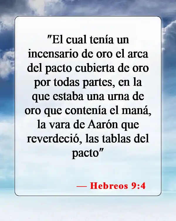 Versículos de la Biblia sobre el Arca de la Alianza (Hebreos 9:4)