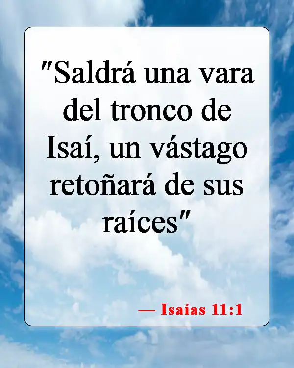 Versículos de la Biblia sobre la genealogía de Jesús (Isaías 11:1)