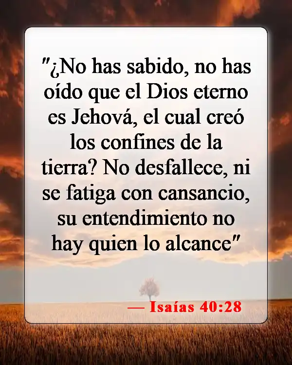 Versículos de la Biblia sobre Jehová (Isaías 40:28)