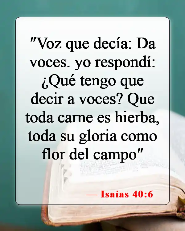 Versículos bíblicos sobre el hombre (Isaías 40:6)