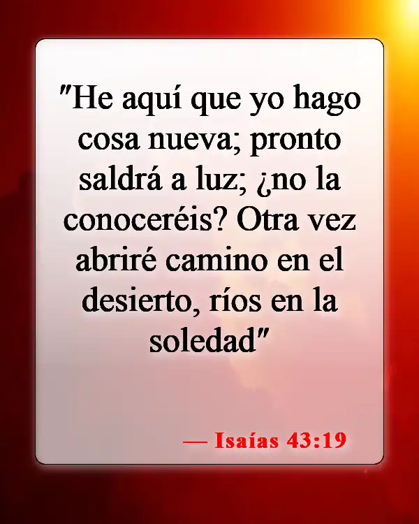 Versículos de la Biblia sobre ayudar a los que están sufriendo (Isaías 43:19)