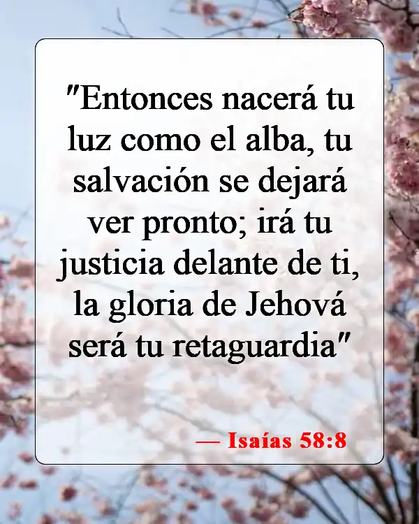 Versículos bíblicos sobre la fe y la sanación (Isaías 58:8)