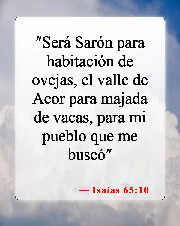 Versículos de la Biblia sobre abstenerse de comer carne (Isaías 65:10)
