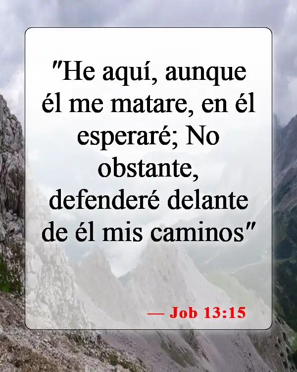 Versículos de la Biblia sobre las cosas malas que les suceden a las personas buenas (Job 13:15)