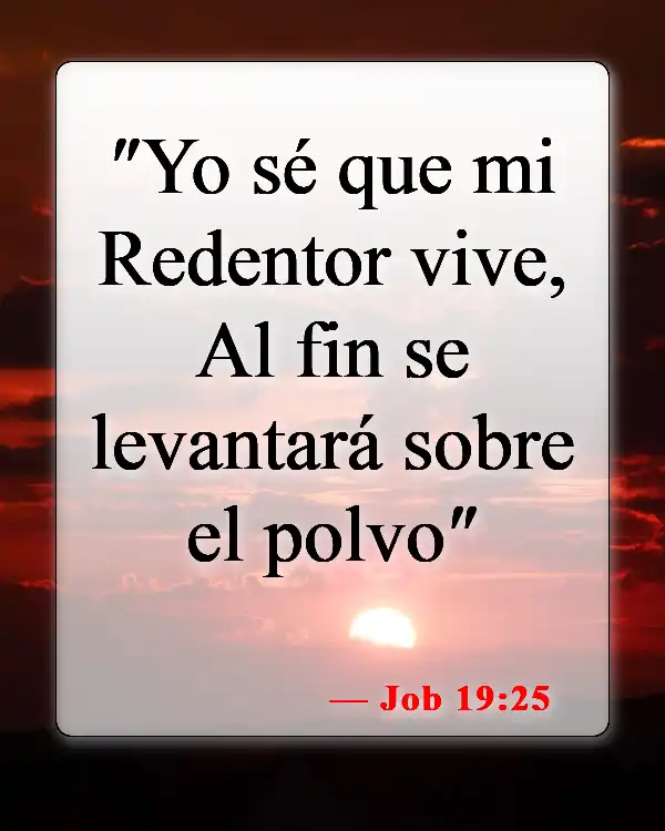 Versículos de la Biblia sobre los cuerpos glorificados (Job 19:25)