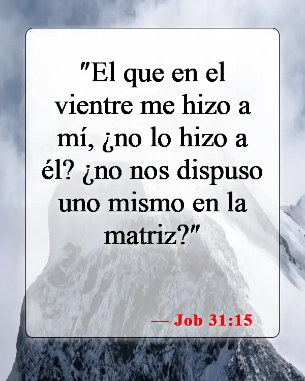 Versículos de la Biblia sobre bebés (Job 31:15)