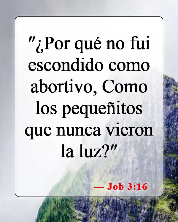Versículos bíblicos sobre bebés yendo al cielo (Job 3:16)