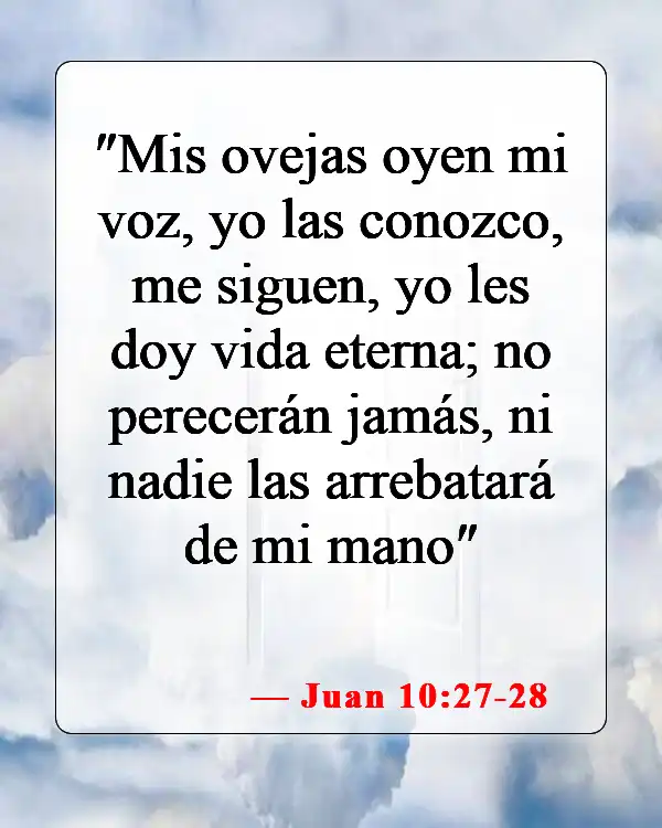 Versículos bíblicos sobre bebés yendo al cielo (Juan 10:27-28)