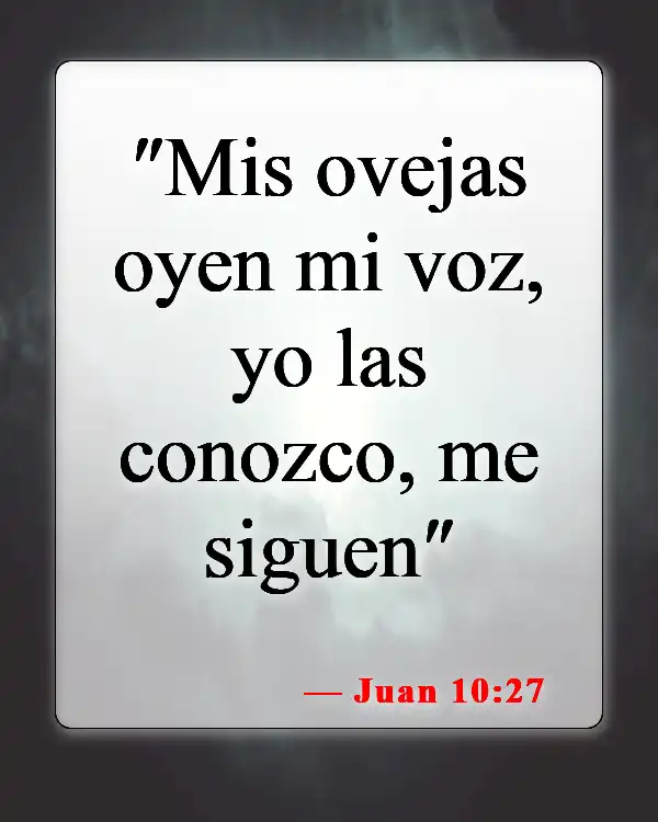 Versículos bíblicos sobre seguir a Jesús (Juan 10:27)