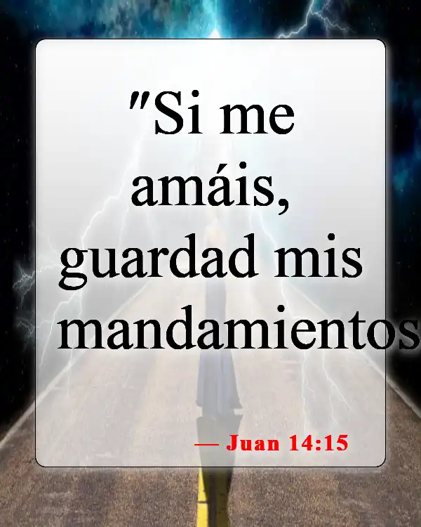 Versículos bíblicos sobre seguir a Jesús (Juan 14:15)