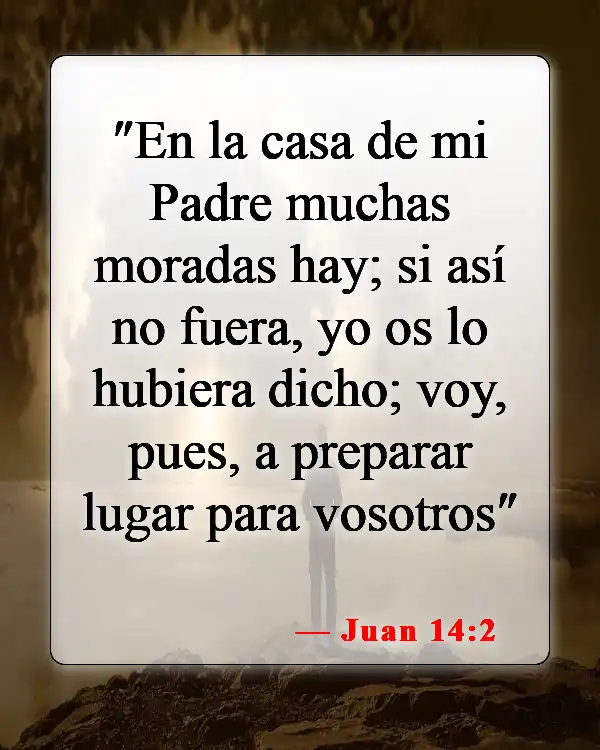 Versículos bíblicos sobre los bebés que van al cielo (Juan 14:2)