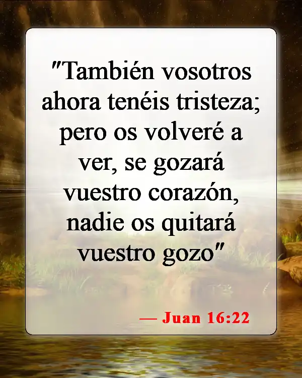 Versículos de la Biblia sobre cómo afrontar la muerte (Juan 16:22)