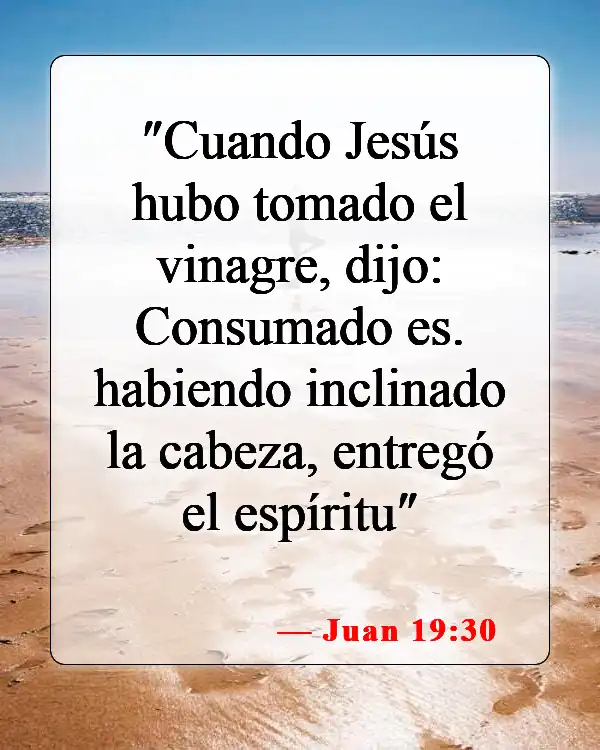 Versículos bíblicos sobre la muerte de Jesús (Juan 19:30)