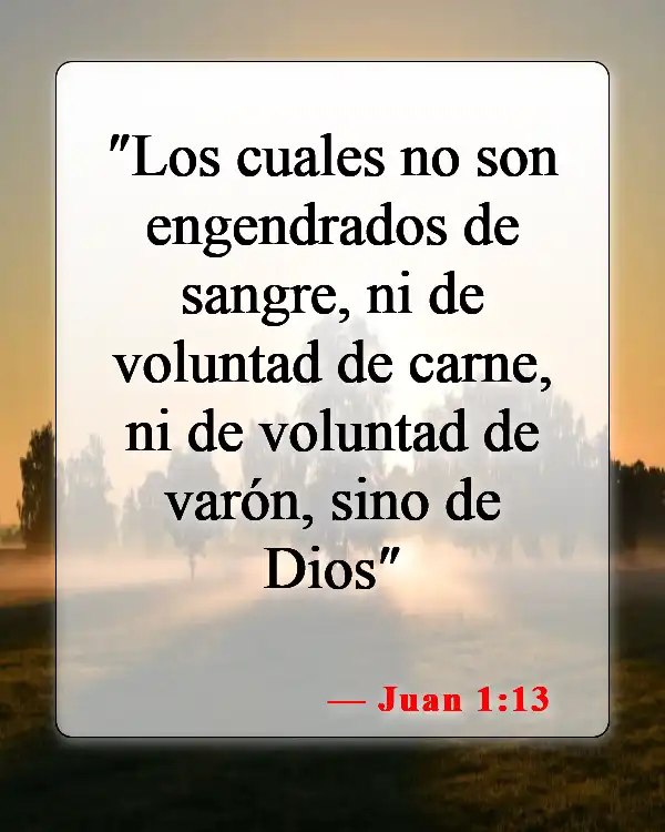 Versículos bíblicos sobre la nueva creación (Juan 1:13)