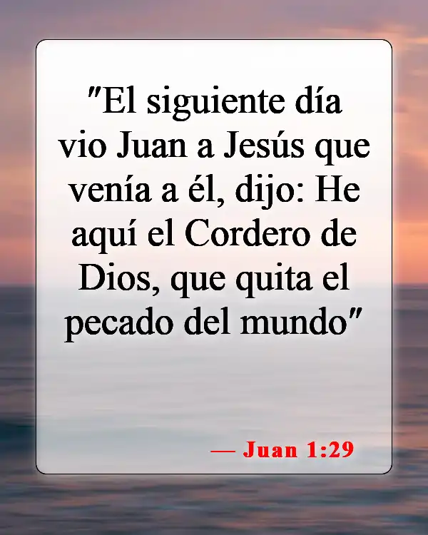 Versículos de la Biblia sobre matar animales (Juan 1:29)