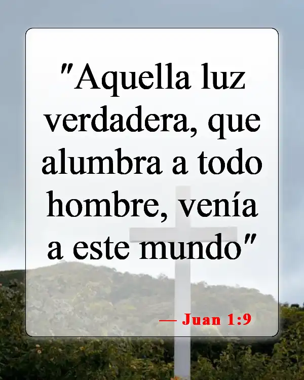 Versículos de la Biblia sobre Reconocer a Dios (Juan 1:9)