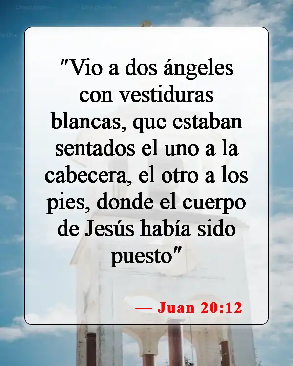 Versículos de la Biblia sobre ángeles (Juan 20:12)