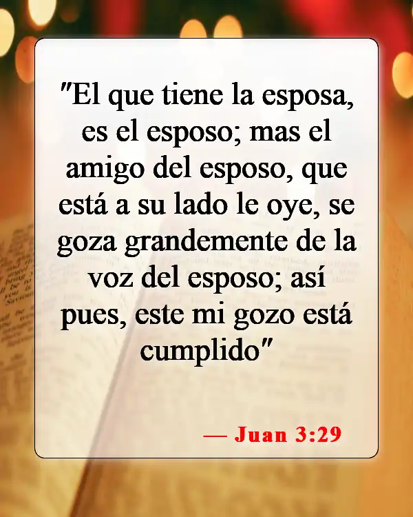 Versículos de la Biblia sobre la novia y el novio (Juan 3:29)