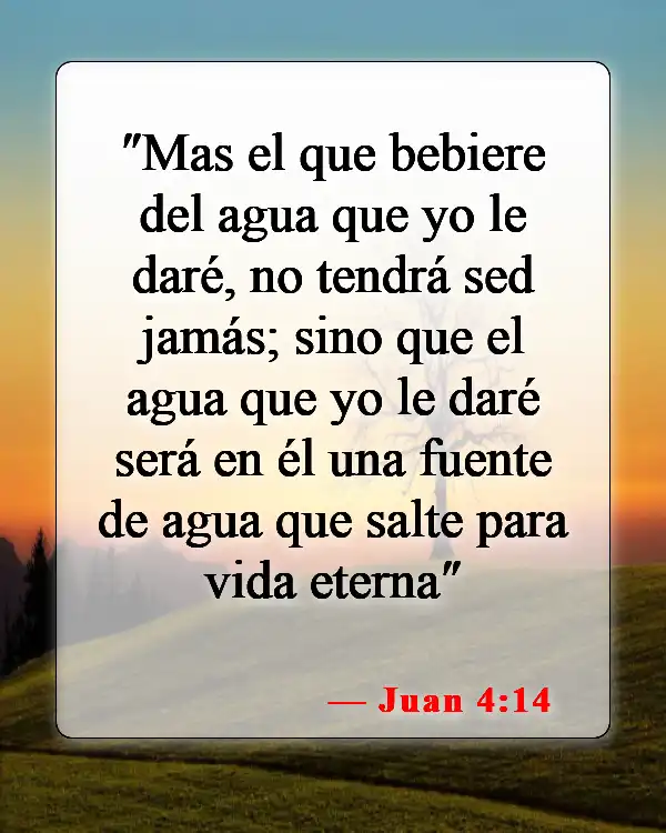 Versículos bíblicos sobre venir a Jesús (Juan 4:14)