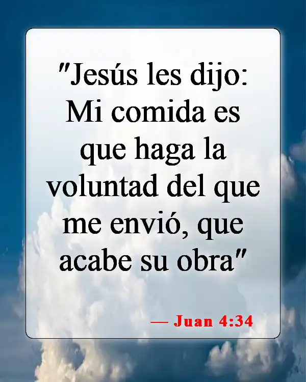 Versículos bíblicos sobre seguir la voluntad de Dios (Juan 4:34)