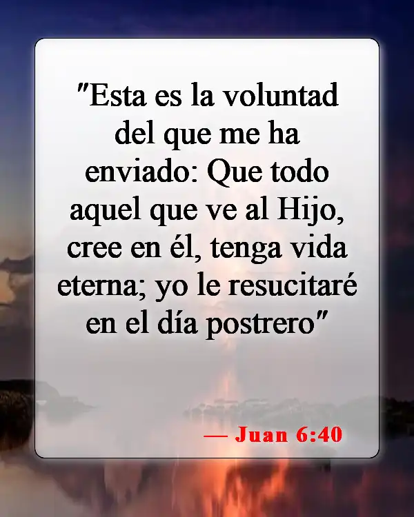 Versículos de la Biblia sobre los cuerpos glorificados (Juan 6:40)