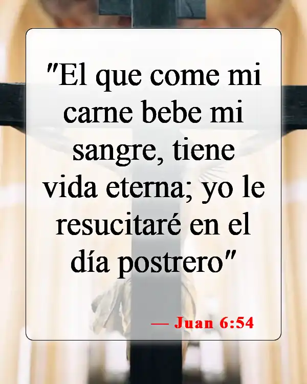 Versículos de la Biblia sobre los cuerpos glorificados (Juan 6:54)