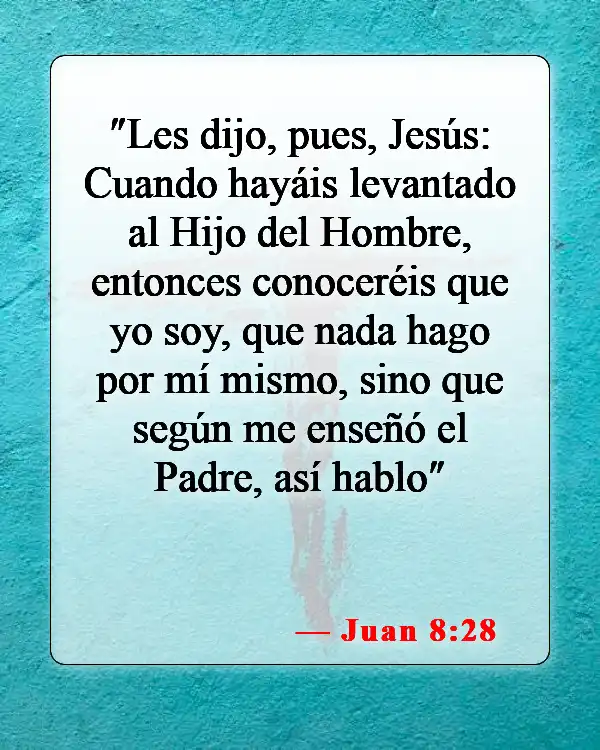 Versículos bíblicos sobre la exaltación de Cristo (Juan 8:28)