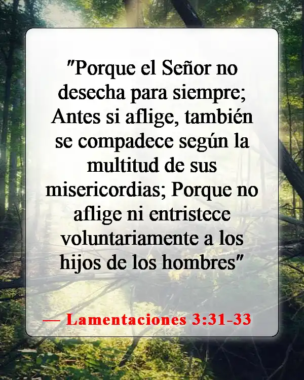 Versículos de la Biblia sobre las cosas malas que les suceden a las personas buenas (Lamentaciones 3:31-33)