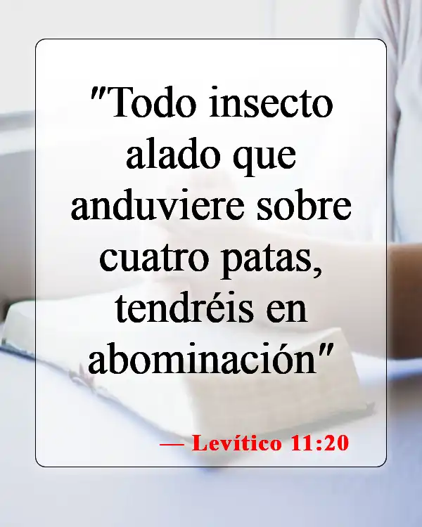 Versículos de la Biblia sobre comer animales (Levítico 11:20)