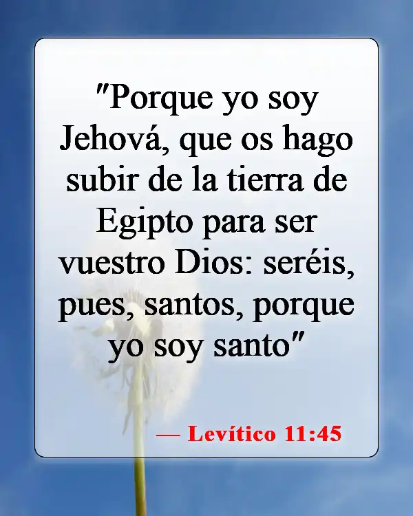 Versículos bíblicos sobre la santidad (Levítico 11:45)