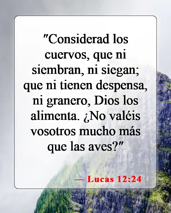 Versículos bíblicos sobre la abundancia (Lucas 12:24)