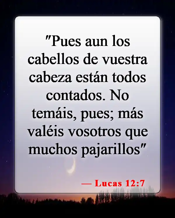 Versículos de la Biblia sobre que Dios conoce tu nombre (Lucas 12:7)