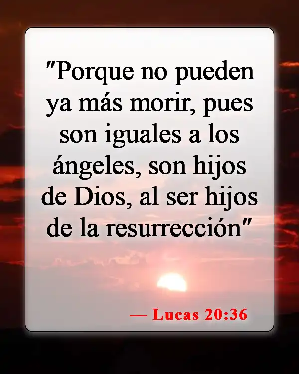 Versículos de la Biblia sobre los cuerpos glorificados (Lucas 20:36)