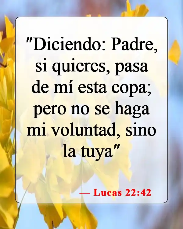 Versículos bíblicos sobre seguir la voluntad de Dios (Lucas 22:42)