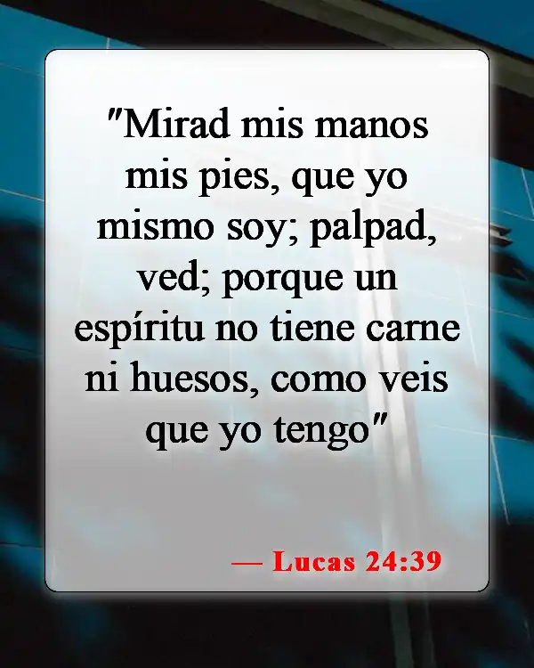 Versículos bíblicos sobre Jesús Cristo completamente hombre y completamente Dios (Lucas 24:39)