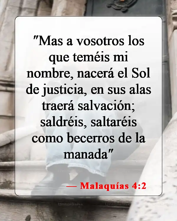 Versículos bíblicos sobre la fe y la sanación (Malaquías 4:2)