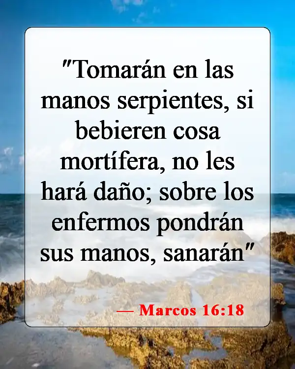 Versículos bíblicos sobre el don de sanidad (Marcos 16:18)