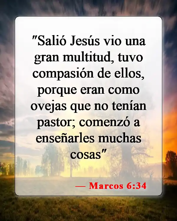 Versículos de la Biblia sobre la compasión (Marcos 6:34)