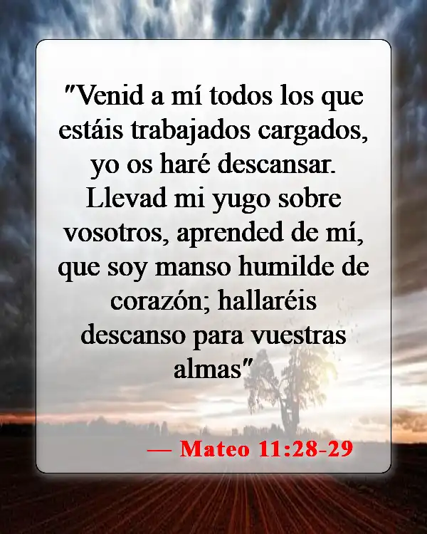Versículos de la Biblia sobre el carácter de Dios (Mateo 11:28-29)
