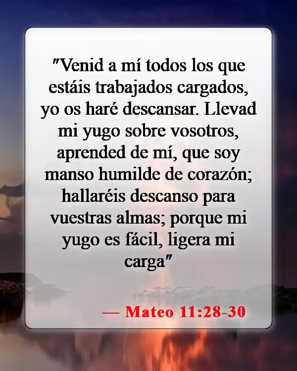 Versículos de la Biblia sobre cómo cuidar nuestros cuerpos (Mateo 11:28-30)