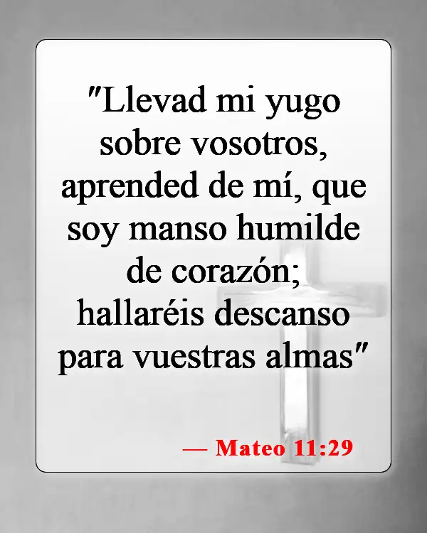 Versículos bíblicos sobre venir a Jesús (Mateo 11:29)