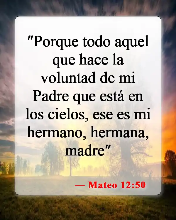 Versículos bíblicos sobre seguir la voluntad de Dios (Mateo 12:50)