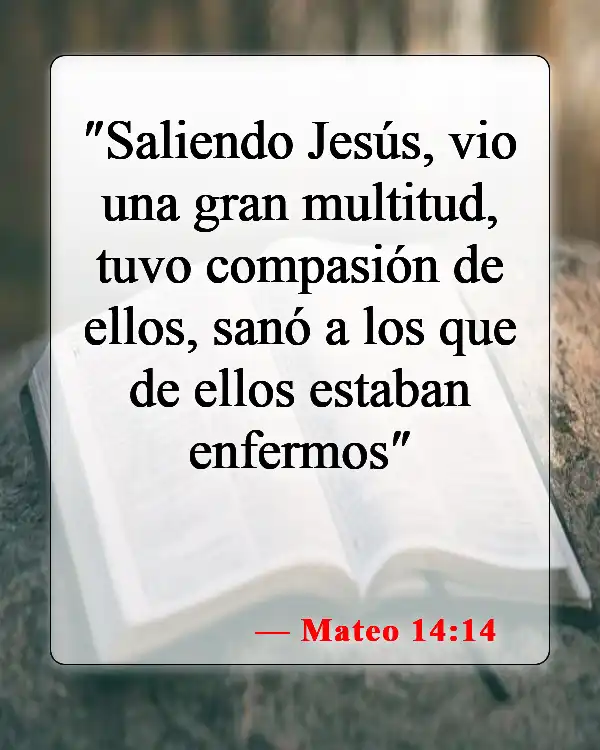 Versículos bíblicos sobre el don de sanidad (Mateo 14:14)