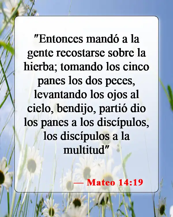 Versículos de la Biblia sobre bendecir los alimentos (Mateo 14:19)