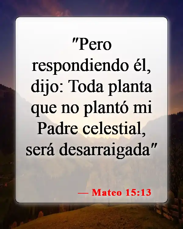 Versículos de la Biblia sobre el Padre en el Cielo (Mateo 15:13)