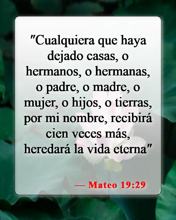 Versículos de la Biblia sobre la vida abundante (Mateo 19:29)