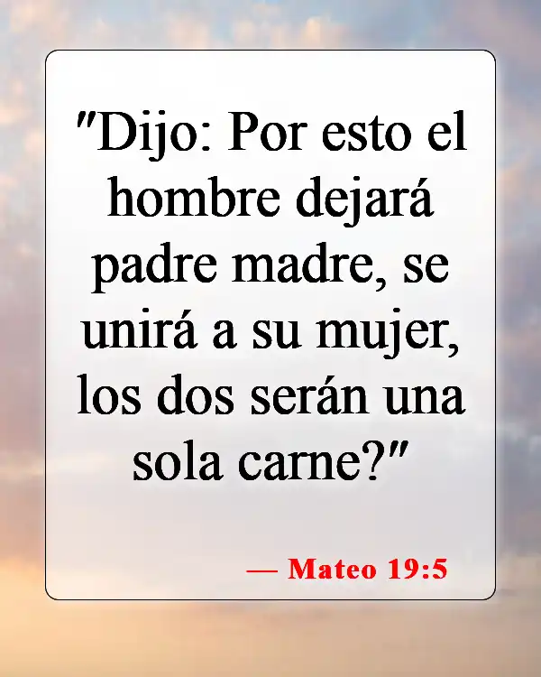 Versículos de la Biblia sobre la novia (Mateo 19:5)