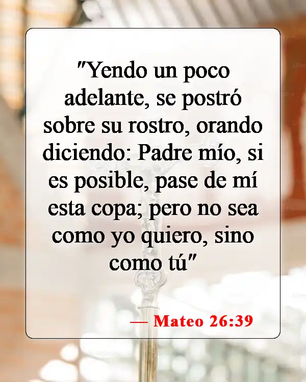 Versículos bíblicos sobre la muerte de Jesús (Mateo 26:39)